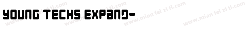 Young Techs Expand字体转换